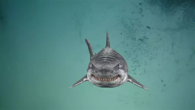Watch Jurassic Shark 2: Aquapocalypse Trailer