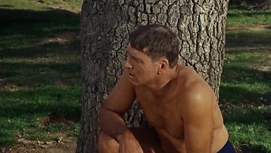 The Swimmer
