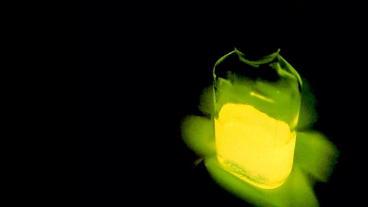 Re-Animator