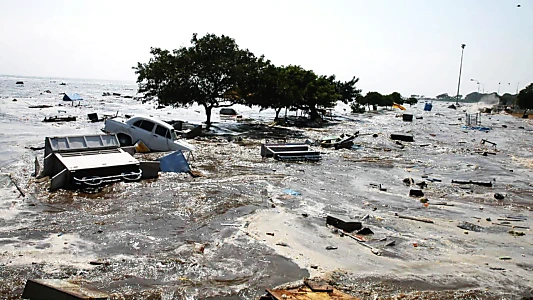 Asian Tsunami: The Deadliest Wave