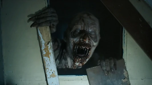 Until Dawn