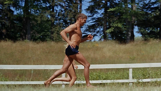 The Swimmer