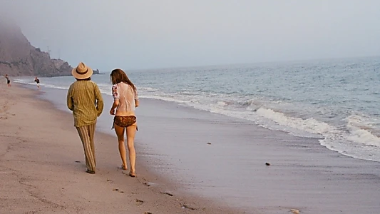 Inherent Vice