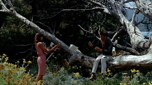 Pierrot le Fou