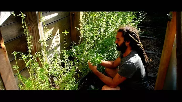 Permaculture en France, un Art de vivre pour demain