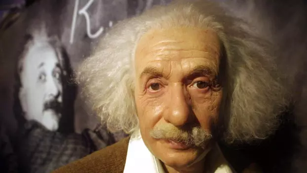 Die Physik Albert Einsteins