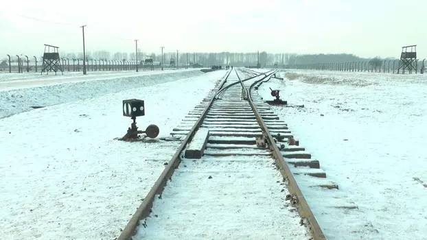 19 876 Steps in Auschwitz / Birkenau