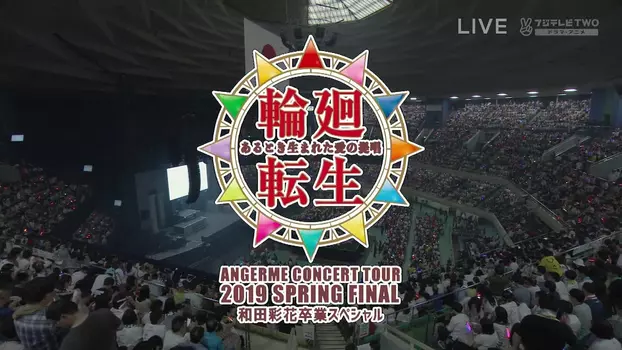 ANGERME Concert Tour 2019 Haru Final