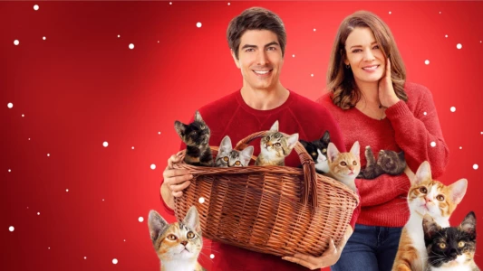 Watch The Nine Kittens of Christmas Trailer