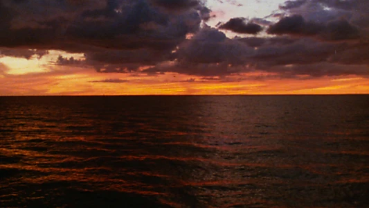 Manhunter