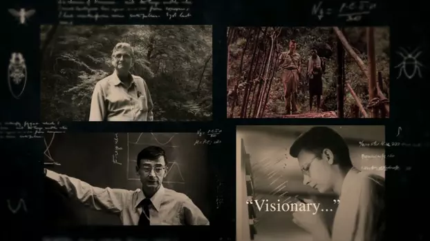Watch E.O. Wilson – Of Ants and Men Trailer