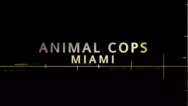 Watch Animal Cops: Miami Trailer