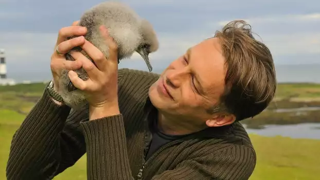 Watch The Animal's Guide to Britain Trailer