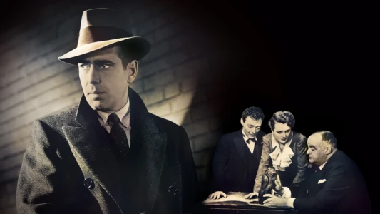 Watch The Maltese Falcon Trailer