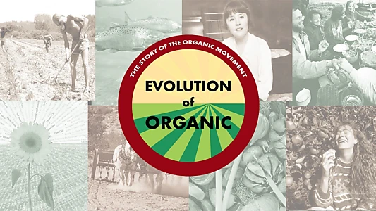 Evolution of Organic