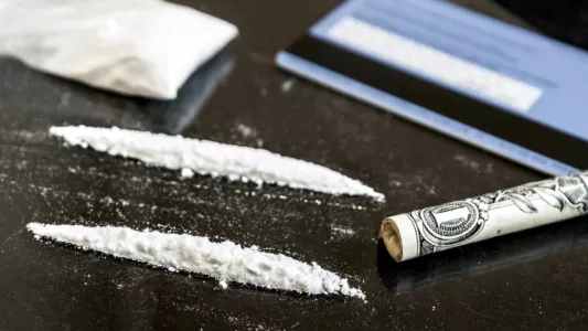 Cocaine: History Between the Lines