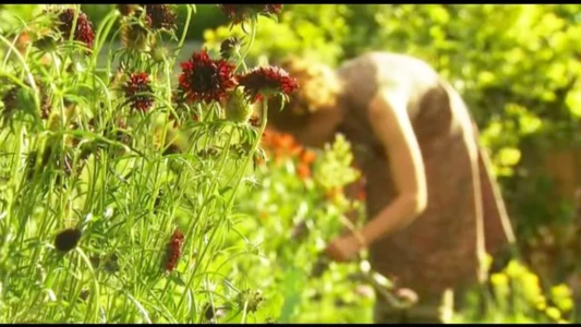 The Edible Garden