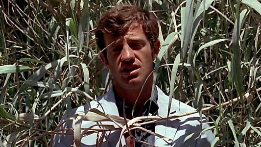 Pierrot le Fou