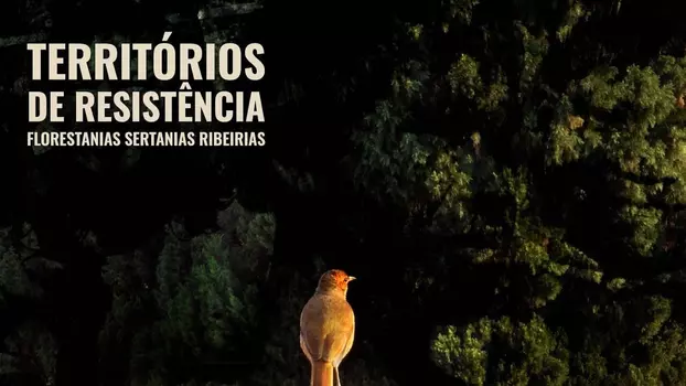 Watch Territórios de Resistência - Florestanias, Sertanias, Ribeirias Trailer