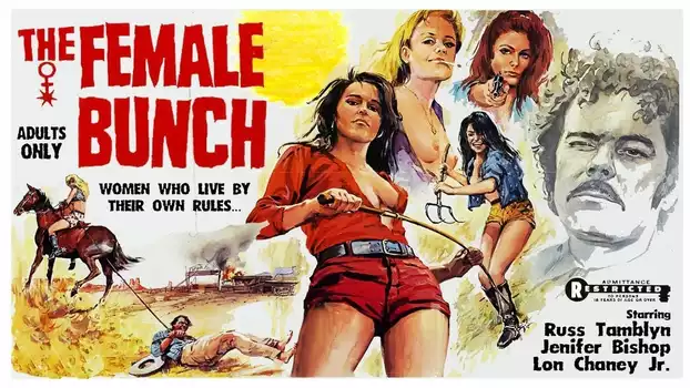 Watch The Female Bunch Trailer