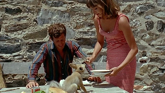 Pierrot le Fou