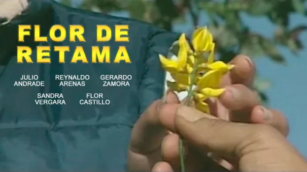 Flor de Retama