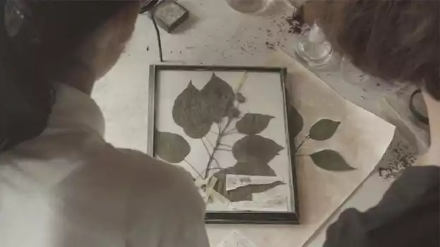 Watch Omura Botanical Specimens Trailer