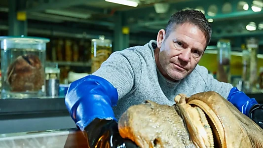 Shark with Steve Backshall