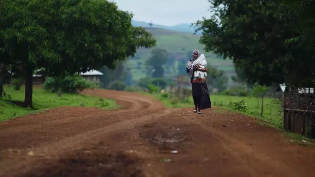 Watch The End of Blindness Trailer