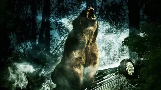 Watch Bear Trailer