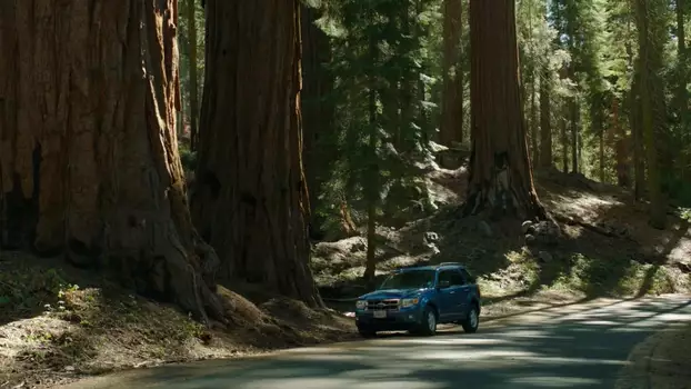 Watch Sequoia Trailer