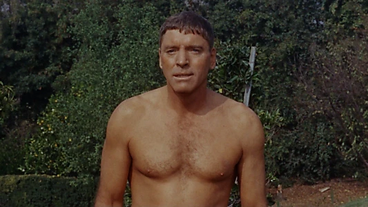 The Swimmer