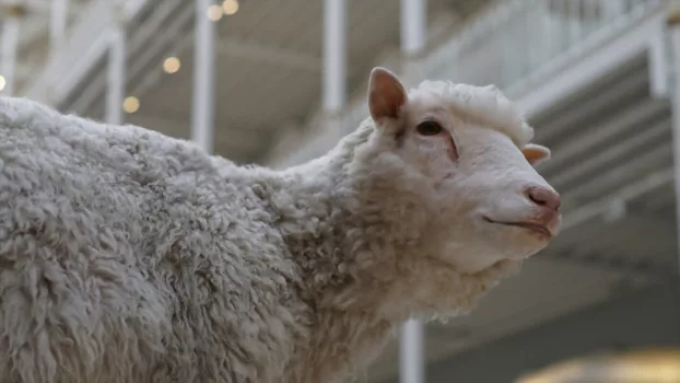 Dolly: The Sheep That Changed the World