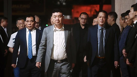 Triads: The Chinese Mafia Conquering the World