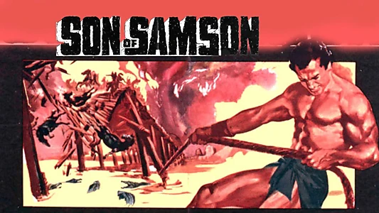 Son of Samson