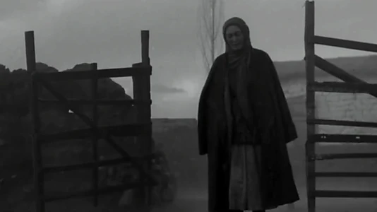 Mother's Field