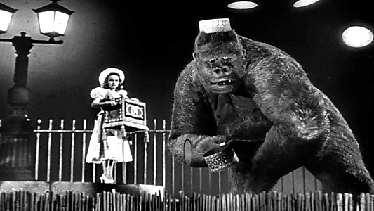 Mighty Joe Young