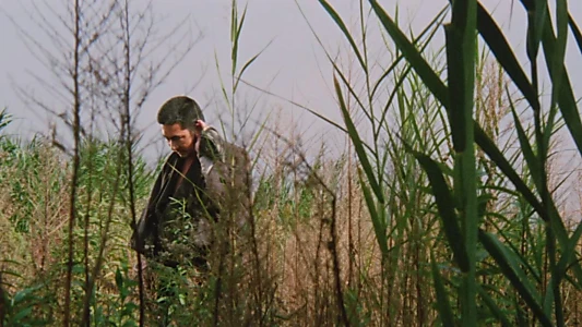 Zatoichi Meets the One-Armed Swordsman