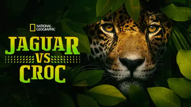 Jaguar vs. Croc