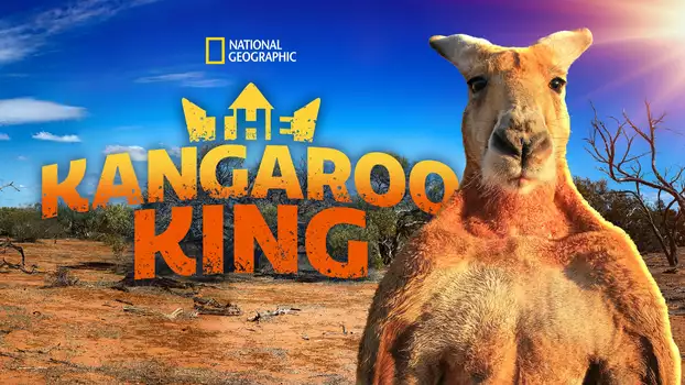 The Kangaroo King