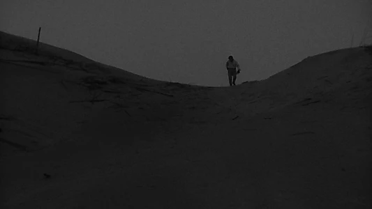 Woman in the Dunes