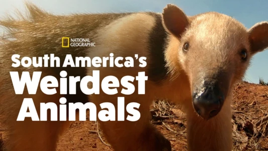 South America's Weirdest Animals