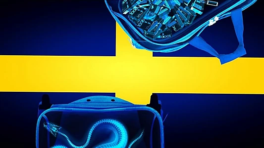 Border Control: Sweden