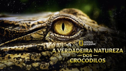Crocodiles Revealed