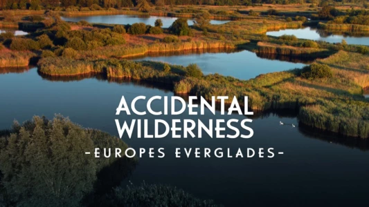 The Accidental Wilderness: Europe's Everglades