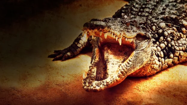 Watch Lair Of The Killer Crocs Trailer