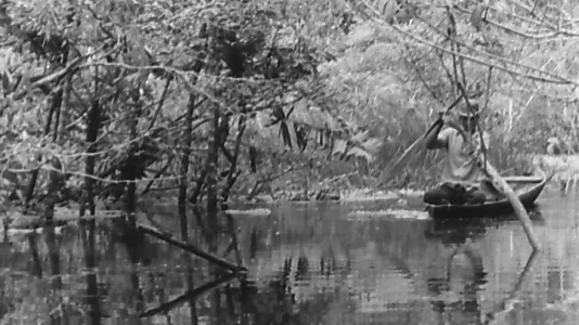 Song To The Old Fish That Lurks In The Amazonian Lakes