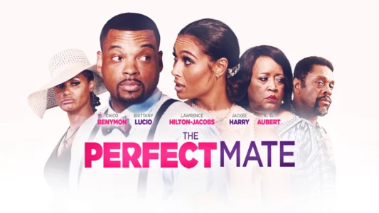 Watch The Perfect Mate Trailer