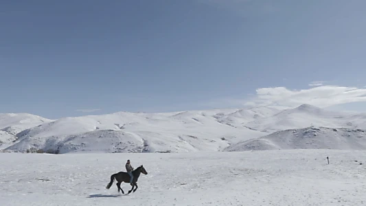 5 Dreamers and a Horse