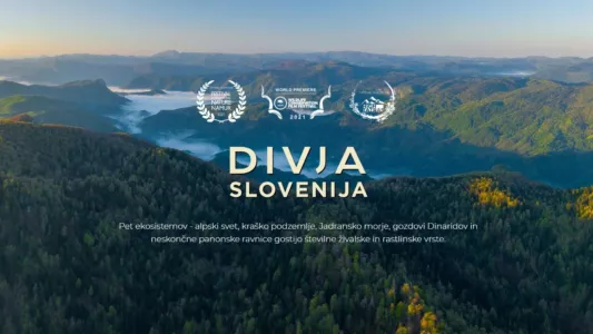 Watch Wild Slovenia Trailer